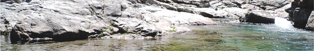 画像に alt 属性が指定されていません。ファイル名: 7c323d490ef35a301dc3495fbd753dc8-1024x168.png